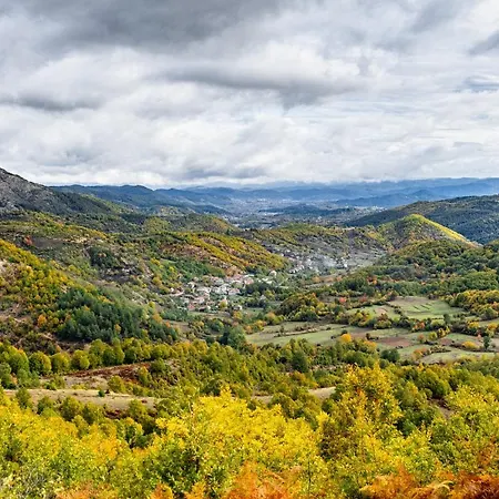 Family Lilium * Kirkovo (Kardzhali)