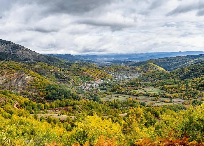 Family Lilium * Kirkovo (Kardzhali)